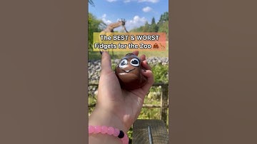 The BEST & WORST Fidgets to Bring to a Zoo! 🦓🦧🦒