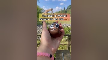 The BEST & WORST Fidgets to Bring to a Zoo! 🦓🦧🦒