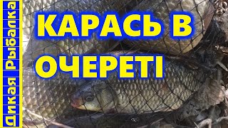 ЛОВЛЯ НА ПОПЛАВОК! Рибалка на карася в очеретi!