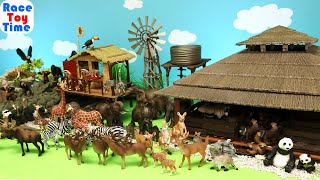 Schleich Wildlife Safari, Jungle and Forest Animal Toys Figurines