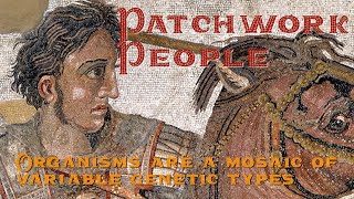 Patchwork People
