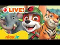  live paw patrol animal rescues  adventures  w tracker  nick jr