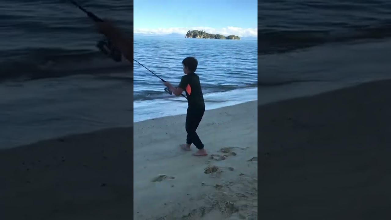 Fishing apple tree bay nz