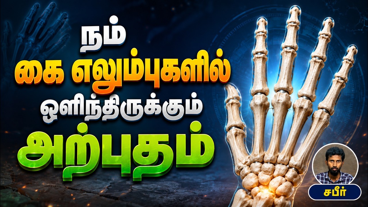 நம் கை எலும்புகளில் ஒளிந்திருக்கும் அற்புதம்┇சபீர்┇02-08-26┇Way to Paradise