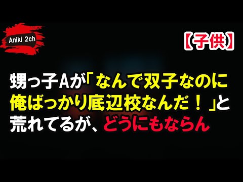 甥っ子Aが「なんで双子なのに俺ばっかり底辺校なんだ！」と荒れてるが、どうにもならん【Aniki 2ch】