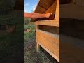 Build a Predator-Proof Duck House 🦆