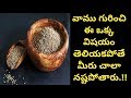 Health Benefits of Ajwain | Health Tips In Telugu | Manandari Health