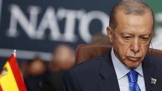 Turquie : le parlement turc a ratifié mardi soir l'adhésion de la Suède à l'OTAN