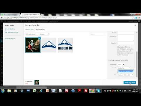 WordPress Basics - Adding A Page - Part 8