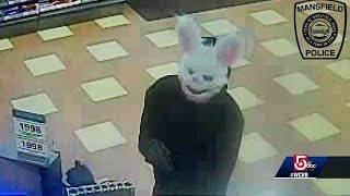 Armed robber in creepy bunny mask evade police search