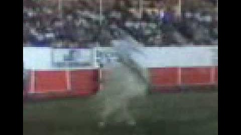 CHARRO VS A BLANCA.3gp