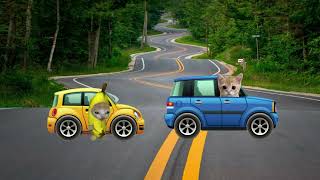 🤣Oh MY CAR #catmemes #funny #memes #bananacat #foryou #shorts #fyp #cat #happycat
