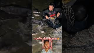 പുതിയ മീൻ പിടുത്തം #mallutraveler#fishingfreaks #shortsX#mallu#malayalam#m4tech