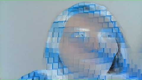 172 kirsten hacker : mrs  jellyby and mr  skimpole