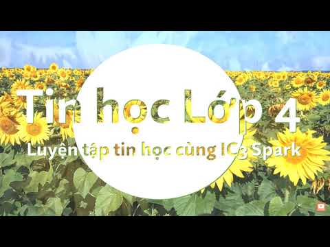 Video Tin học lớp 4 - Sách Luyện tập Tin học cùng IC3 Spark... - youtube