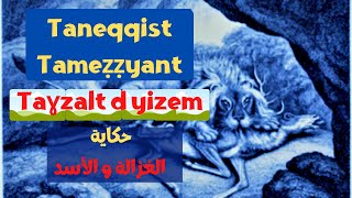 Taneqqist tameẓẓyant: Taɣzalt d yizem. حكاية الغزالة و الأسد