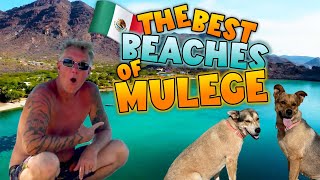 Best BEACHES in Mulege, BCS, Mexico  Bay of Conception, Sea of Cortez  [2022] Subtitulos