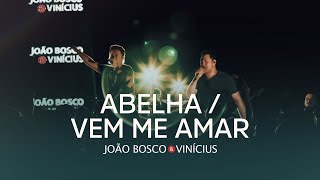 João Bosco \u0026 Vinicius - Abelha / Vem Me Amar (DVD No Kanto Da Ilha)