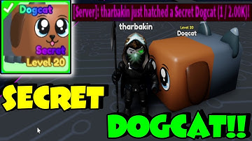 I Hatched The DogCat Secret-Mining Simulator 2