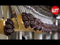 How ice cream is made by modern technology  ice cream factory process