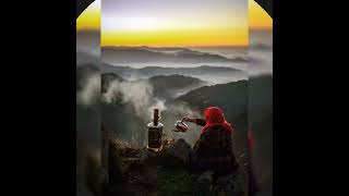 Bu tepe pullu tepe/Berivan Aral