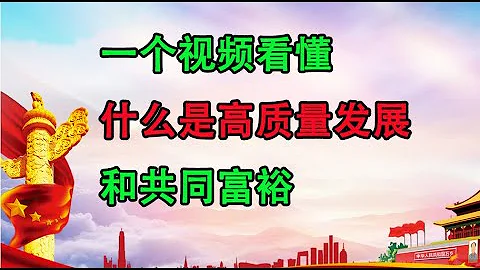一个视频看懂是什么是中国未来经济发展的主要目标「在高质量发展中促进共同富裕」，以及高质量发、共同富裕和防范重大金融风险之间的关系。 - 天天要闻