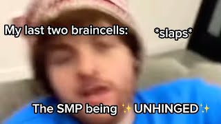 The DSMP being ✨UNHINGED✨ for 4 minutes and 33 seconds