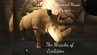 Národní Muzeum National Museum Prague-New Exhibition-The Miracles of the Evolution Part 1. (11/2021)