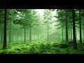 ULTRA GREEN Tranquility: 16K HDR Dreamscape for Meditation & Relaxation | Nature's Peace #chillmusic