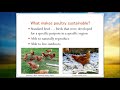 Sustainable Poultry Breeding and Production