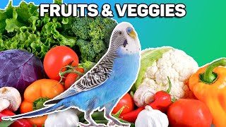 How to get your parakeet to eat fruits and veggies (Toxic Vs  Safe) screenshot 5