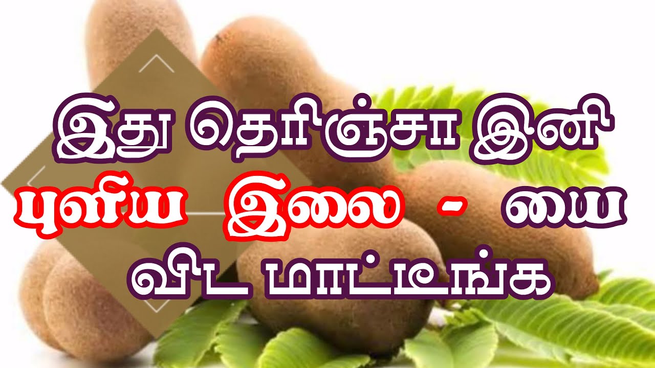 Dont Ignore Tamarind Leaf  Easily Available Miracle Leaf  Surprising Medicinal Properties