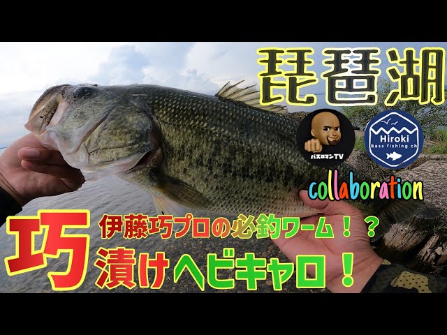 巧漬け ノリーズ レイドジャパン 琵琶湖バス釣り】巧漬けワームでヘビキャロしたら必釣!伊藤巧