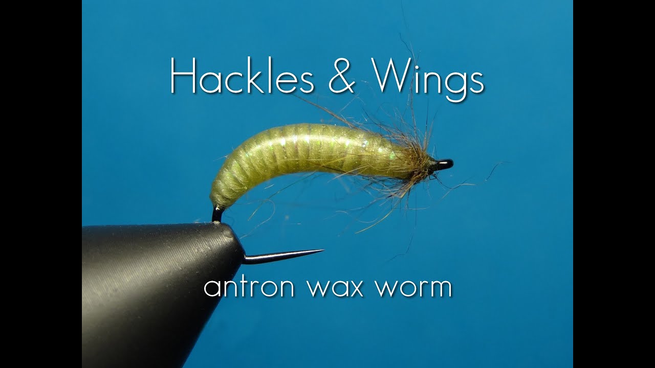 Fly Tying Antron Wax Worm  Hackles & Wings 