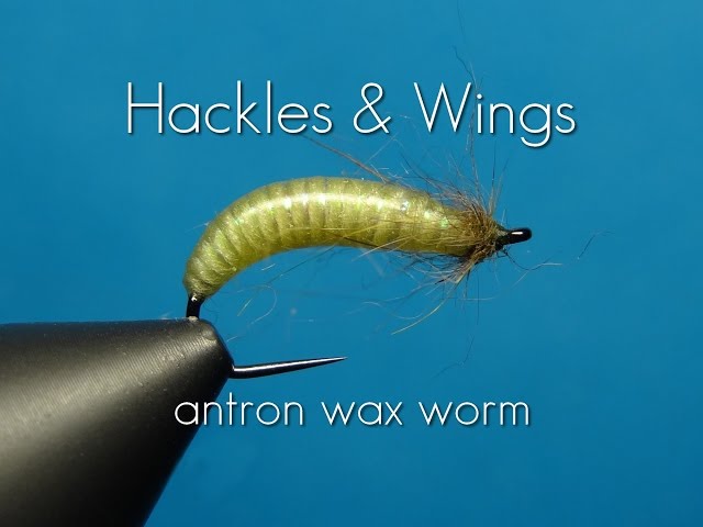 Fly Tying Antron Wax Worm  Hackles & Wings 