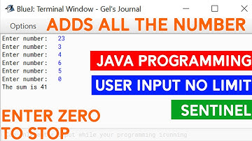 Do While loop that adds the number until encountered zero | Bluej Java with detailed explanation