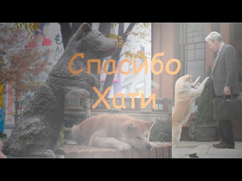 Videó: Az Orosz Hachiko Emlékműjét Leleplezték Cseljabinszkban - Alternatív Nézet
