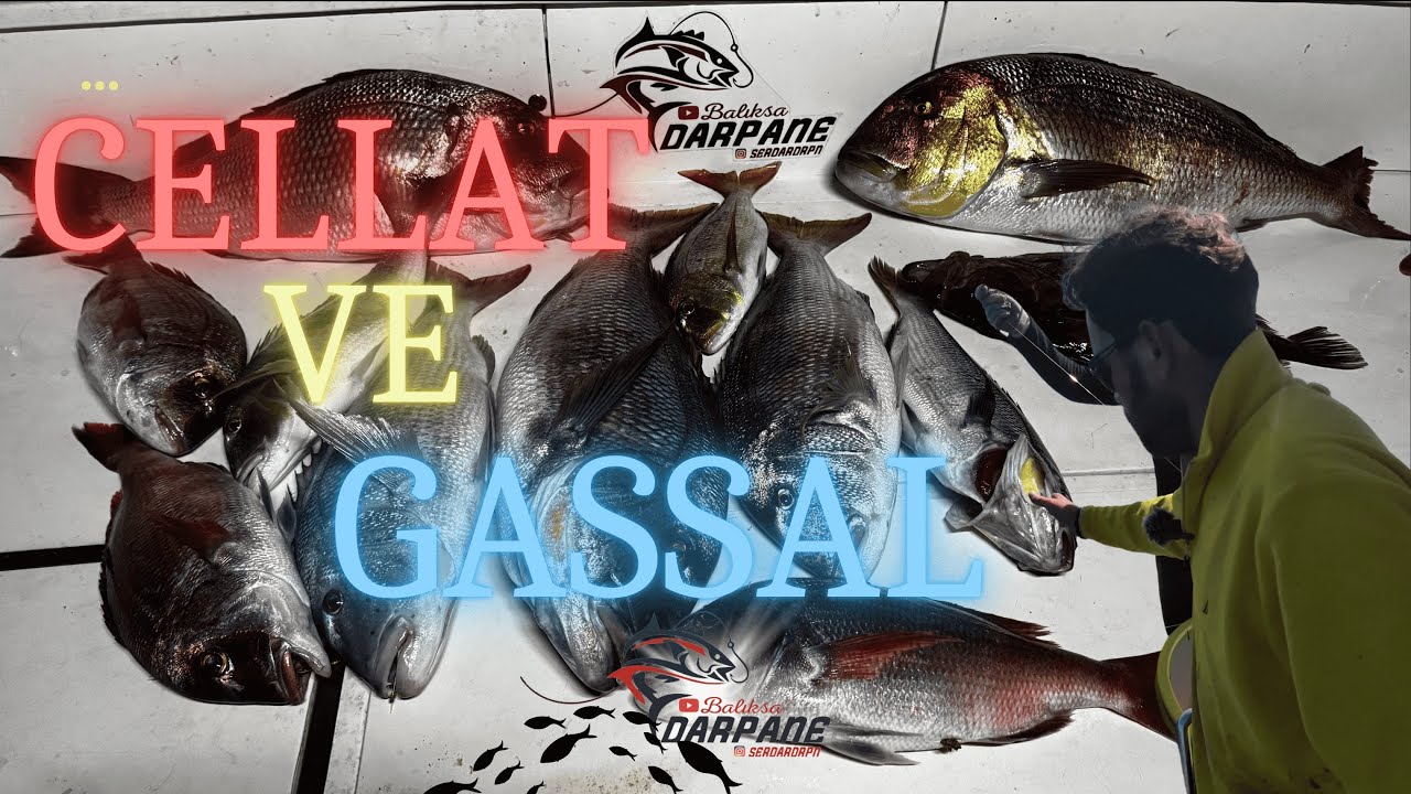 Beklenen An Geldi! PARAGAT #1