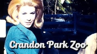 Miami 1960s Cuban Exiles Film Footage Key Biscayne and Crandon Park Zoo