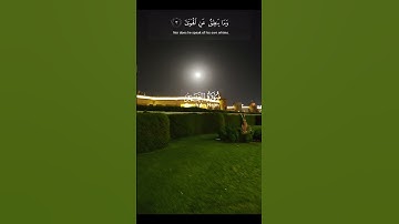 والنجم إذا هوى ناضل صاحبكم وماغوى #تلاوة_خاشعة #قرآن #ورتل_القران_ترتيلا