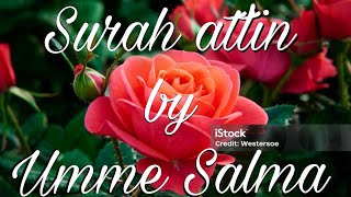 Umme Salma Recording To Surah Attin Surah Quran Tin