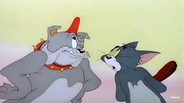 Tom & Jerry | Never A Null Day With T&J! | Classic Cartoon Compilation /cartoon lovers