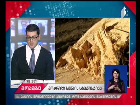 ხეების მოჭრის ნებართვების სტატისტიკური მონაცემები IDFI-ს კვლევაში -  საბა ბუაძე \"მოამბეში\"