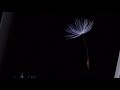 Samsung Galaxy S9 and S9+ Official ad.