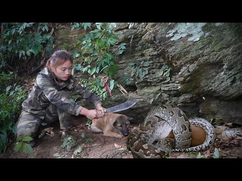 Giant python attacks, my dog, survival alone