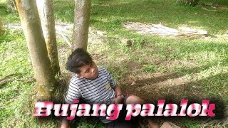 Bujang palalok