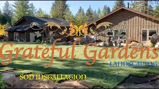 Truckee Backyard Sod Installation - Full Timelapse Profile
