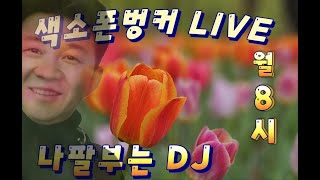 색소폰벙커 LIVE   5월20일