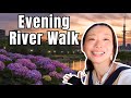 Evening Hydrangea Walk✨🌃🌺 & My Cabin Crew Stories