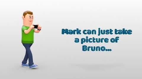 Dog breed identifier - NatureAi